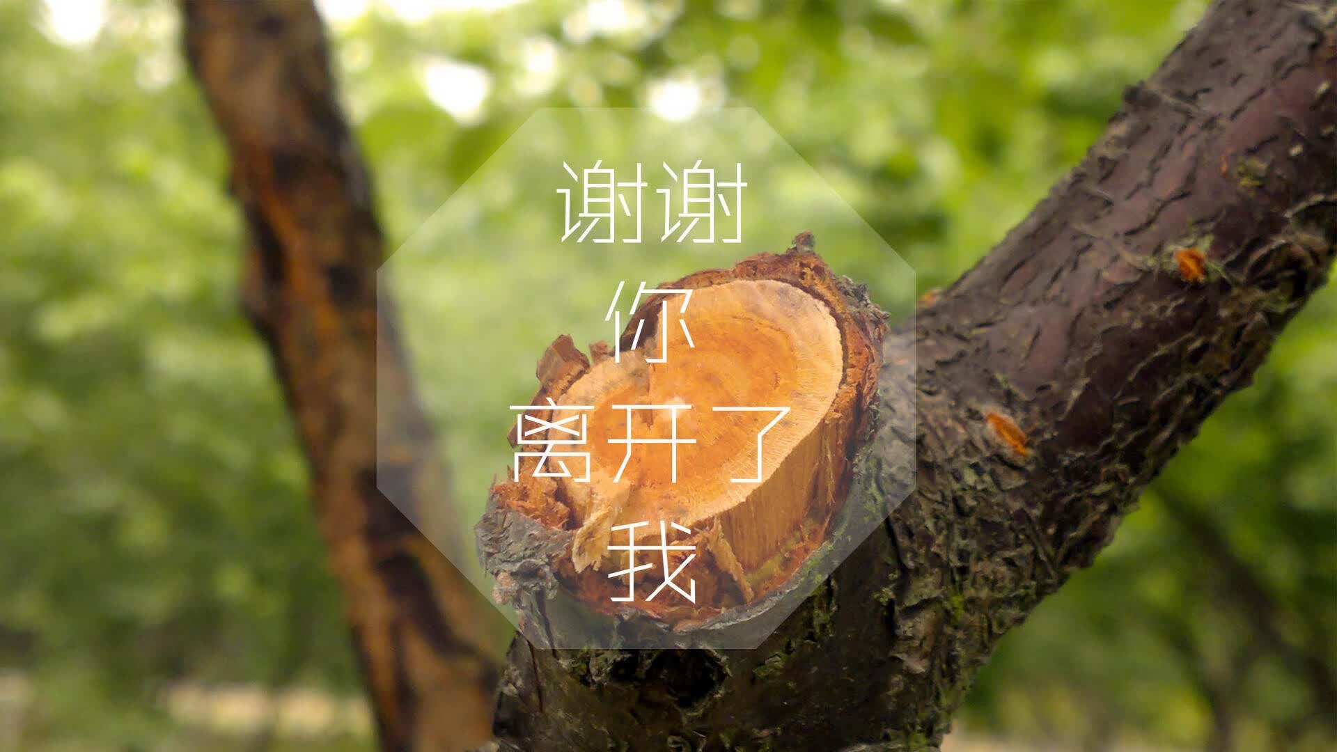 世界帆船赛事海上救援物资清单与维护周期明细最终版发布,海上救助船舶设备配置技术要求